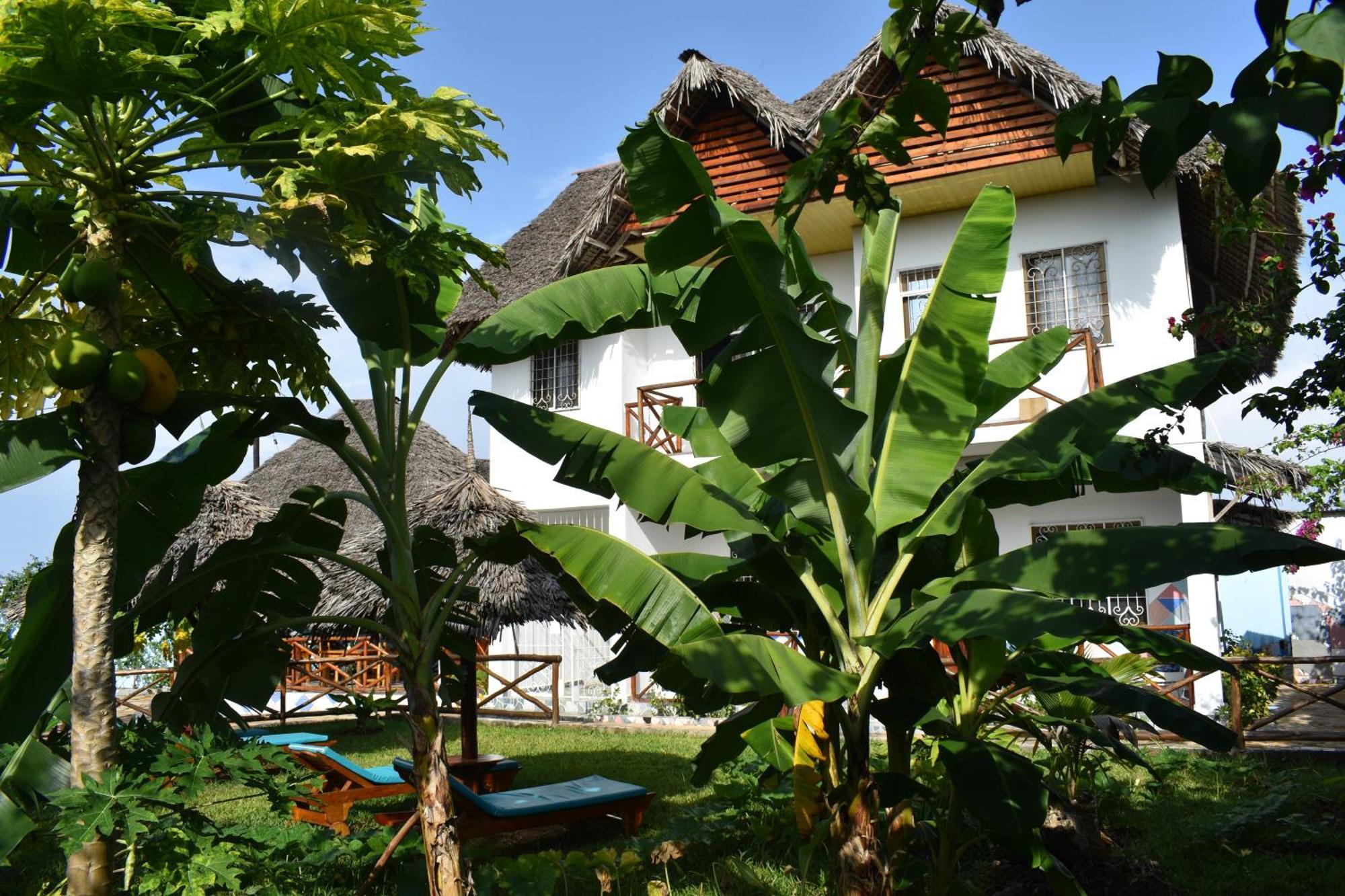 Pineapple House Bed & Breakfast Nungwi Eksteriør bilde
